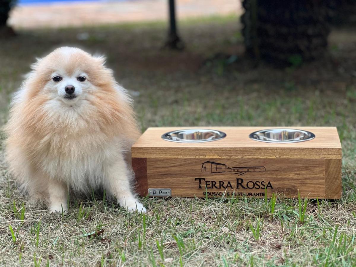 Pousada E Restaurante Terra Rossa São José do Rio Pardo Exteriér fotografie